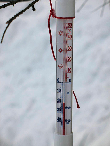 Termometry wieczorem i rano pokazywały niezmiennie -20°C. Stale wiał też lodowaty wiatr